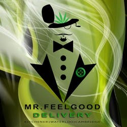 Mr. Feelgood